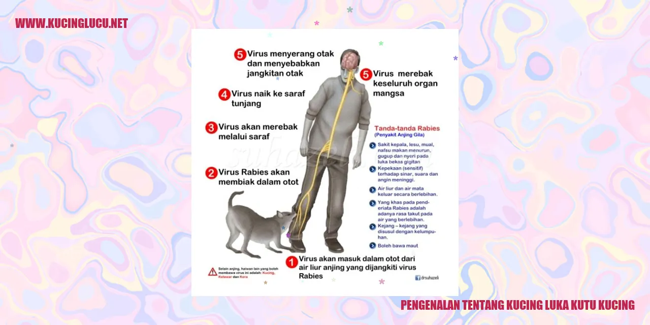 Gambar Kucing yang Mengalami Serangan Kutu