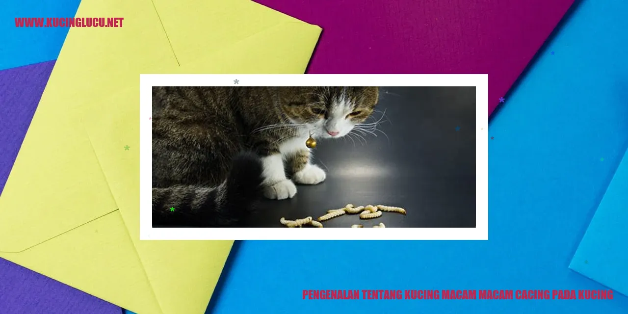 Ilustrasi kucing