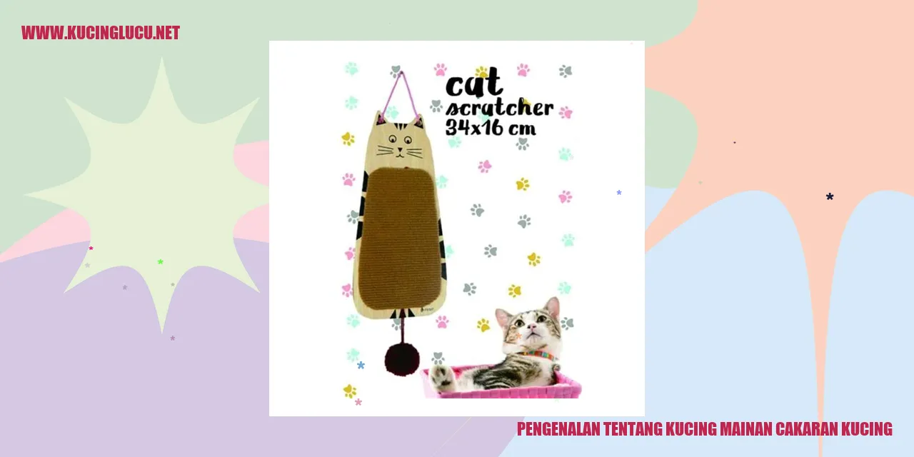 Kucing Mainan Cakaran Kucing
