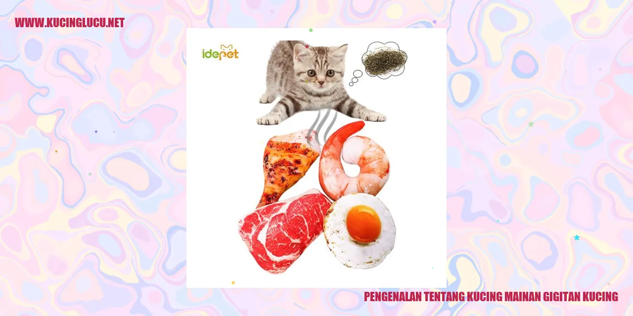 Kucing mainan gigitan kucing
