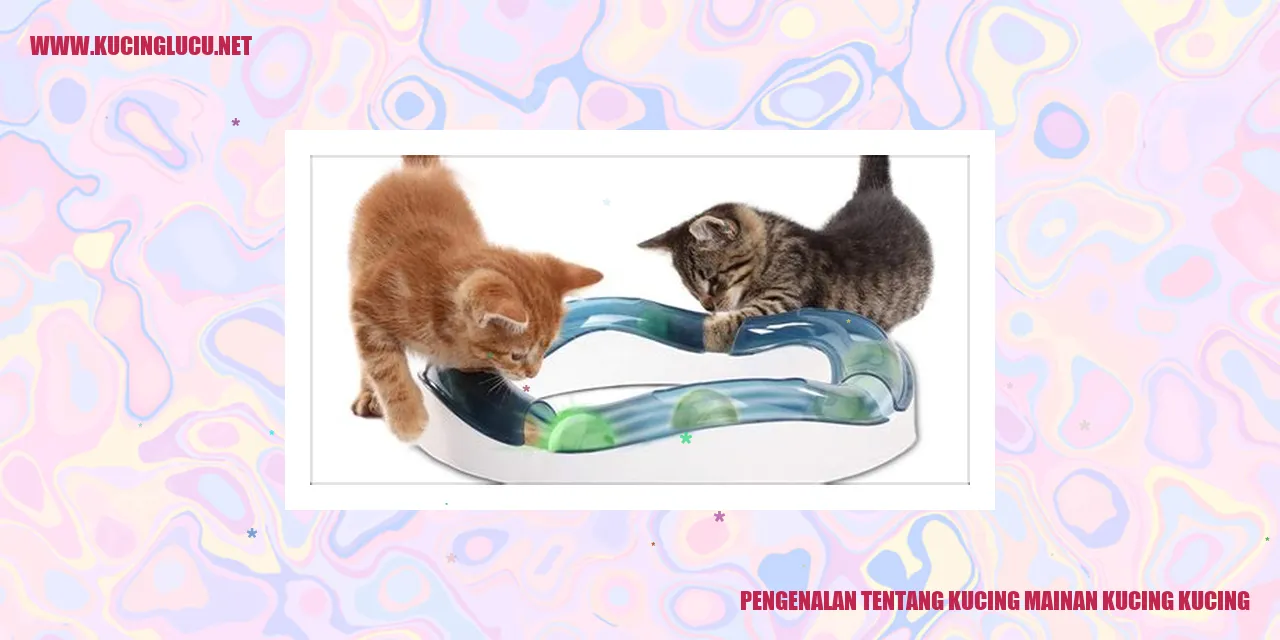 Gambar Kucing Mainan yang Imut
