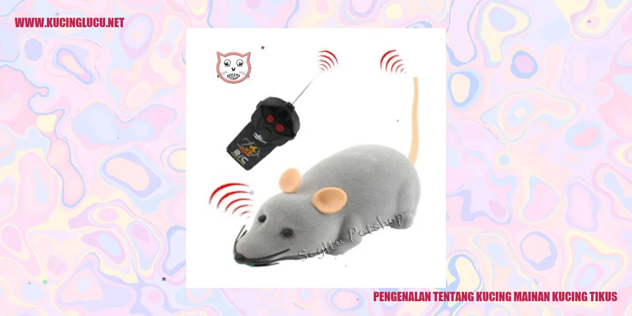 Gambar Kucing Mainan Kucing Tikus