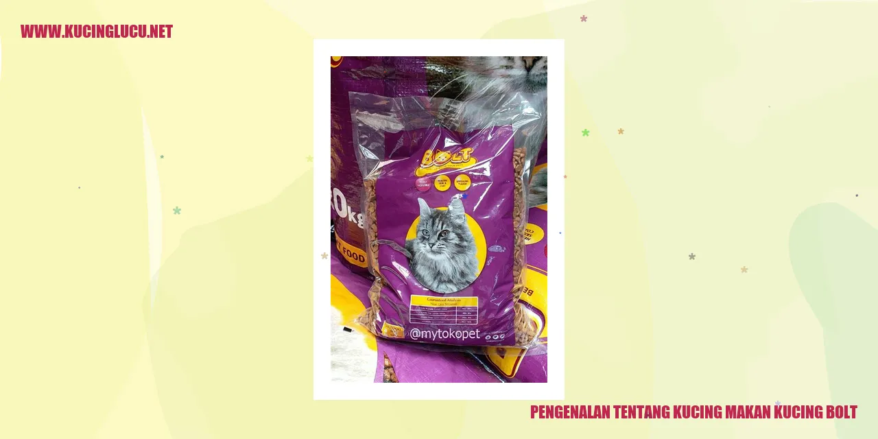 Kucing makan kucing bolt