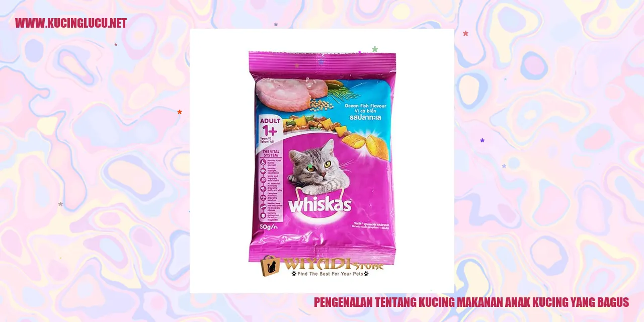 gambar kucing