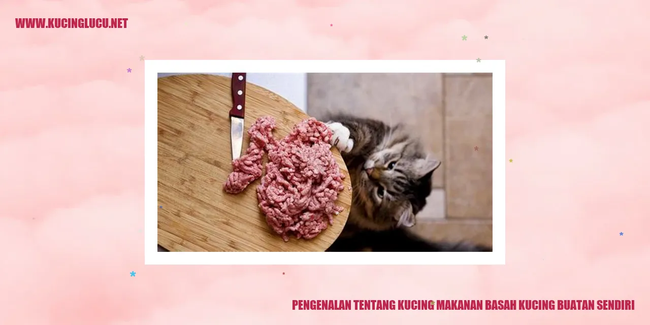 Kucing makanan basah kucing buatan sendiri