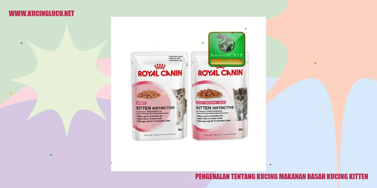 Kucing makanan basah kucing kitten