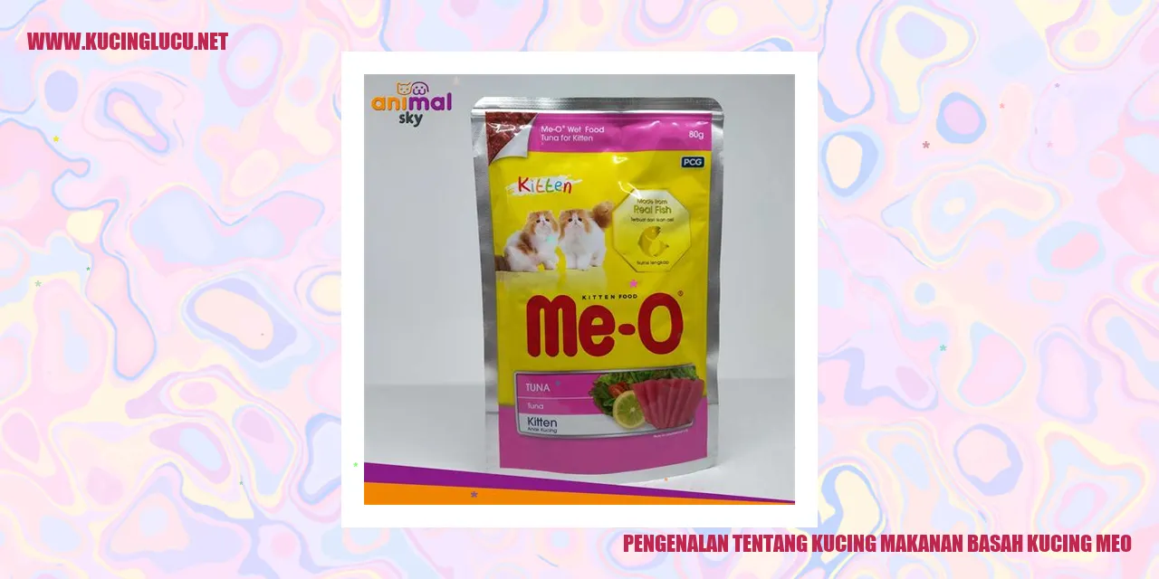Kucing Meo