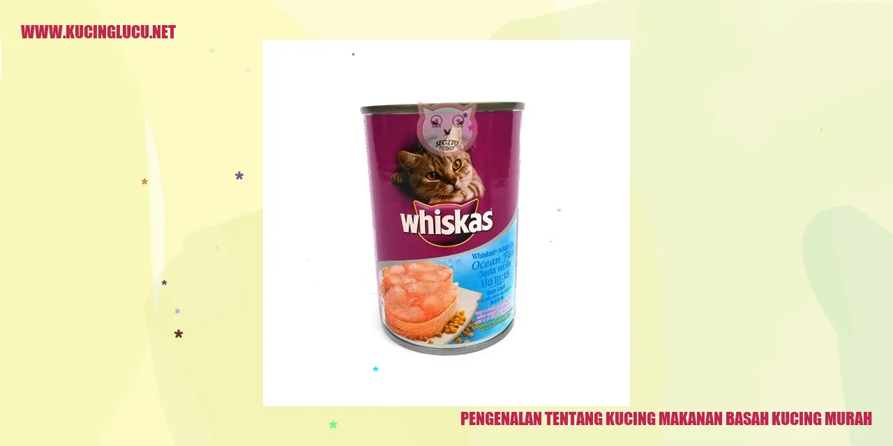 Kucing makanan basah kucing murah
