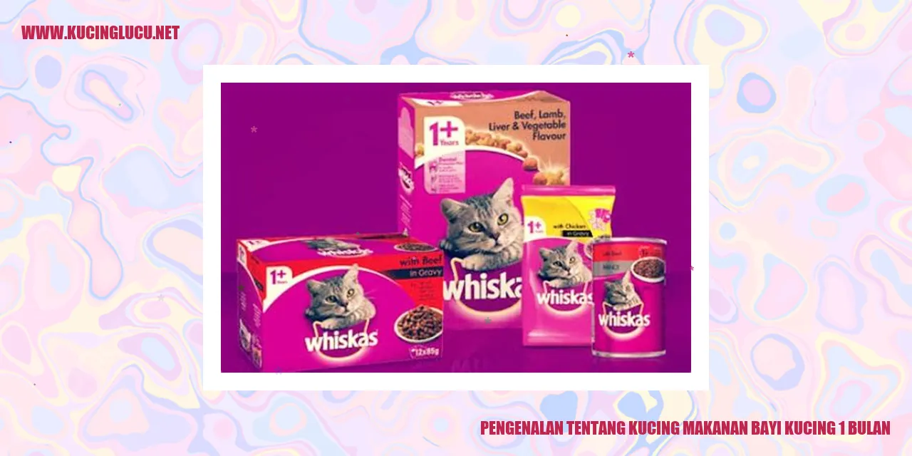Gambar kucing bayi