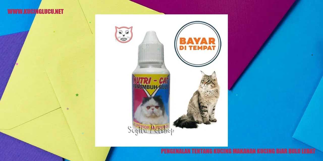 Gambar Kucing