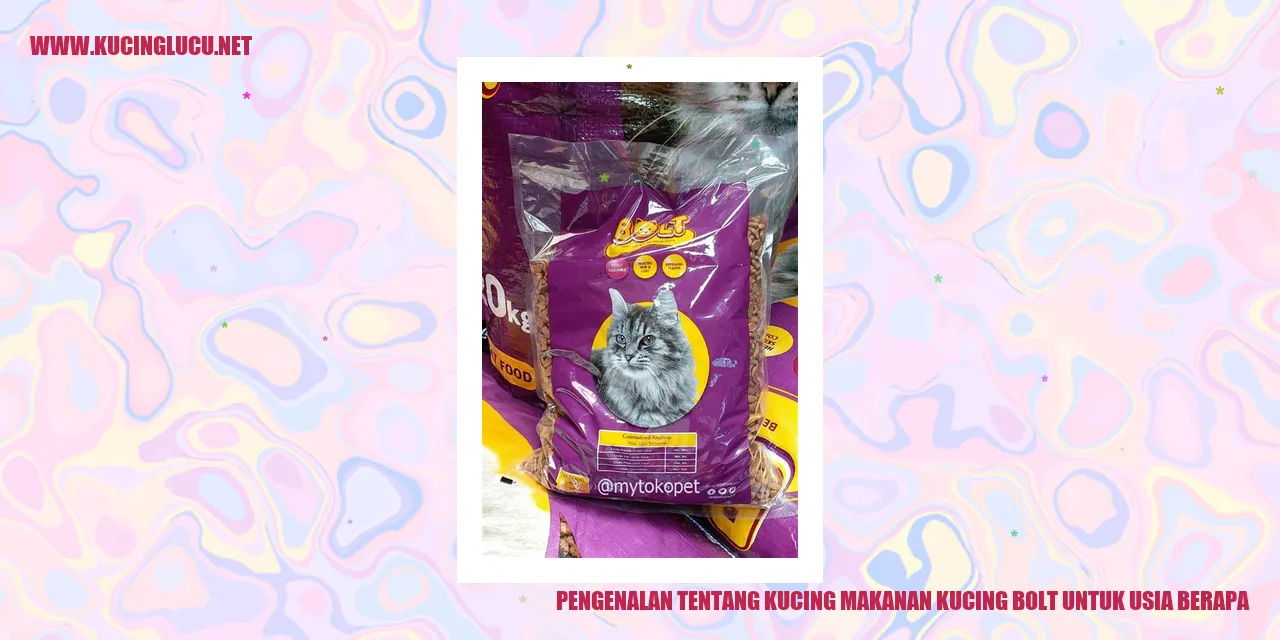 kucing makanan kucing bolt untuk usia berapa