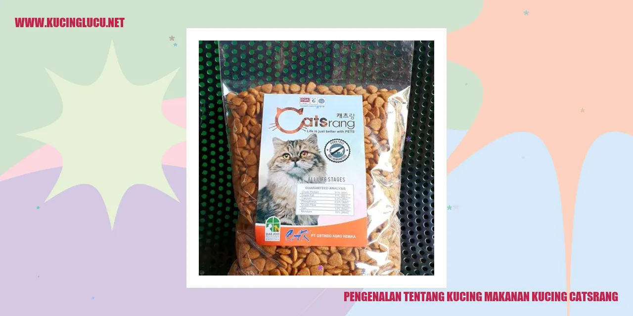 Gambar kucing yang sehat dan bahagia