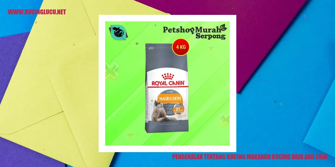 Ilustrasi Kucing
