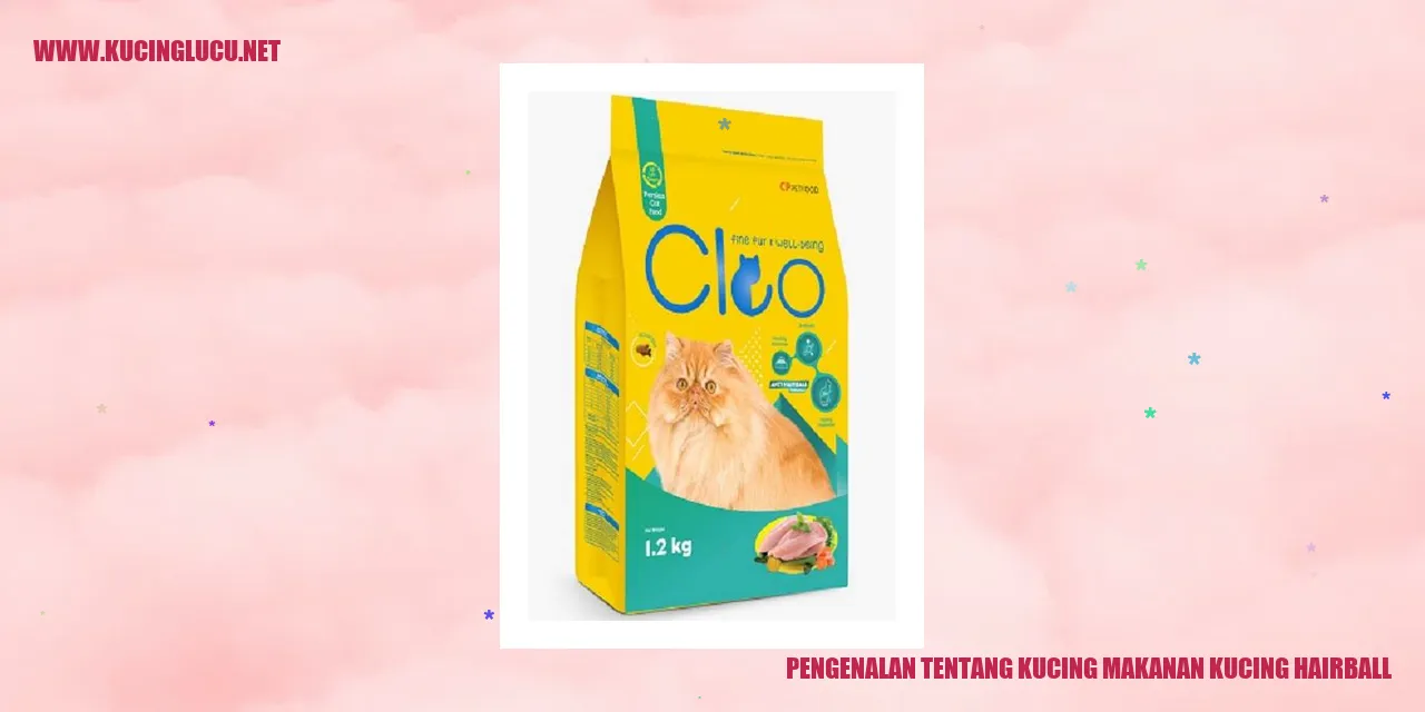 Pengenalan tentang Kucing makanan kucing hairball