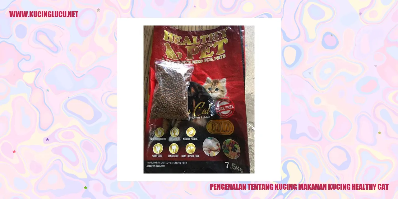 Kucing dan Makanan Sehat