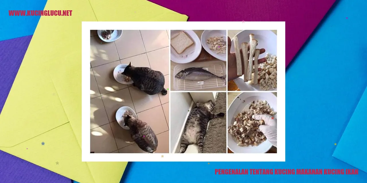 Kucing bersantap dengan makanan ikan