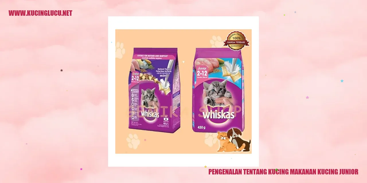 Gambar Makanan Kucing Junior
