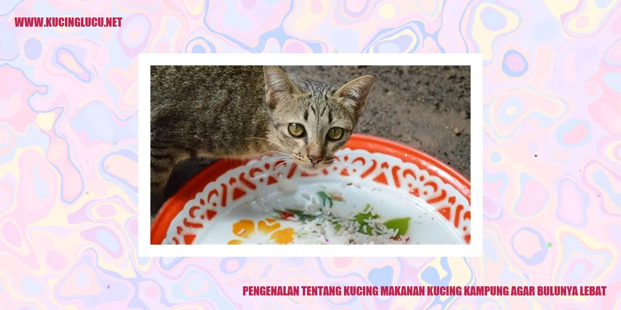 gambar kucing makanan kucing kampung