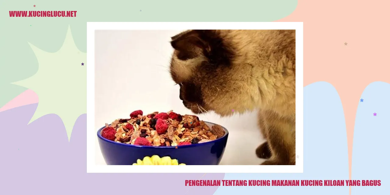 Gambar Kucing Makanan Kucing Kiloan