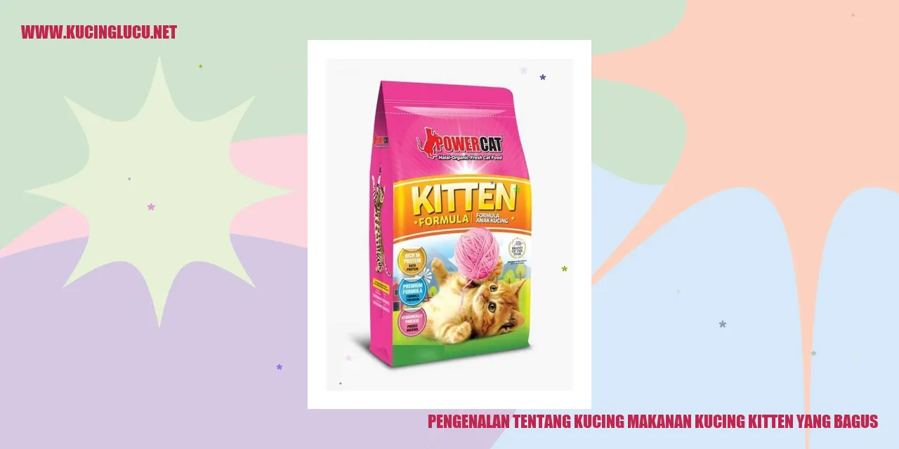 Makanan Anak Kucing