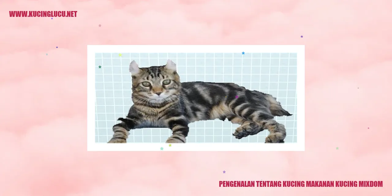 Pengenalan tentang Kucing makanan kucing mixdom