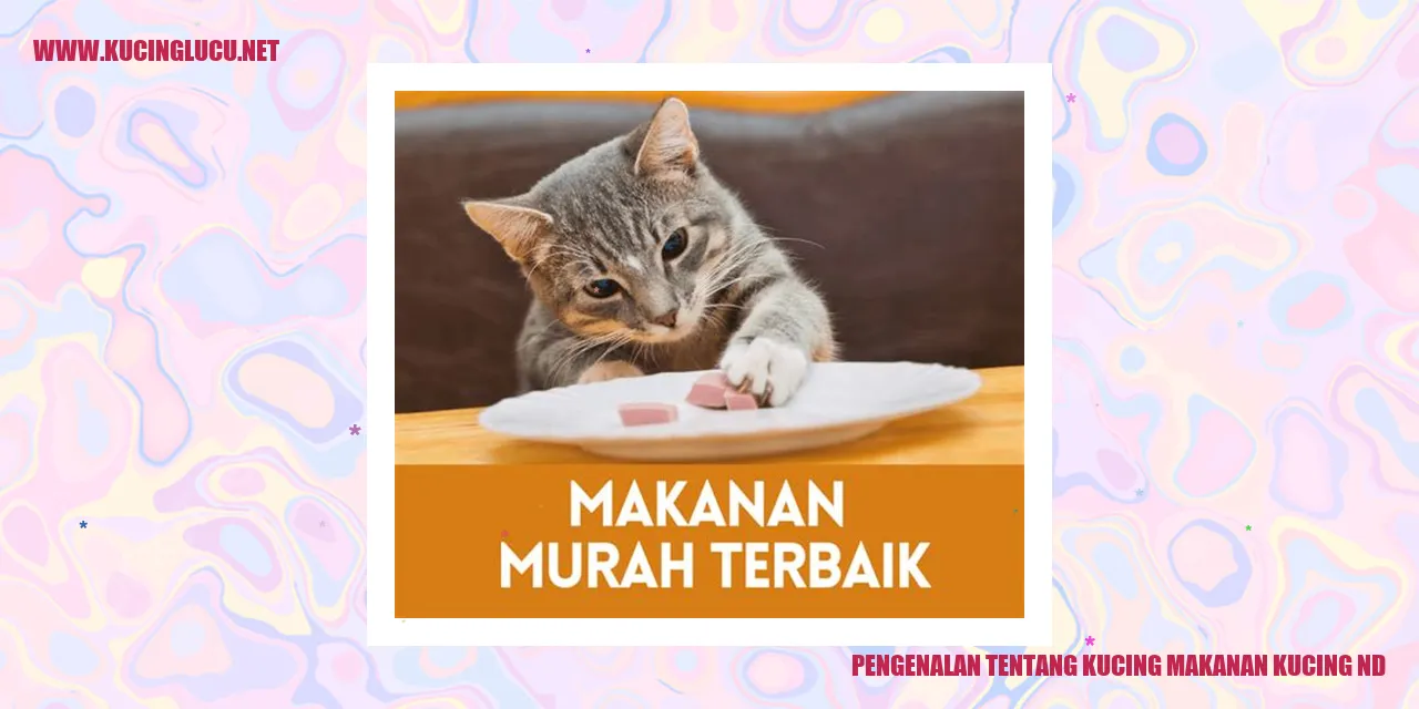 Kucing yang menggemaskan