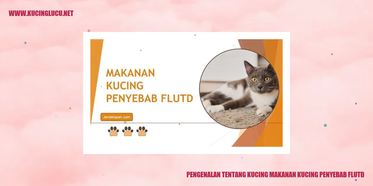 Kucing Makanan FLUTD