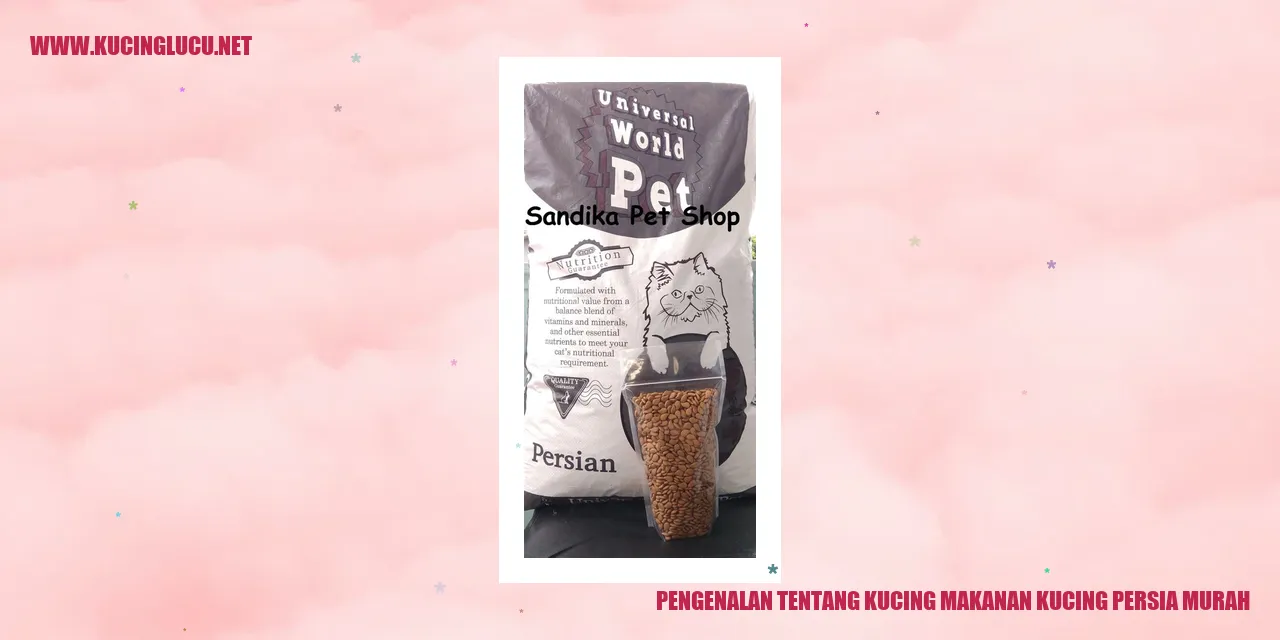 Gambar Kucing Persia