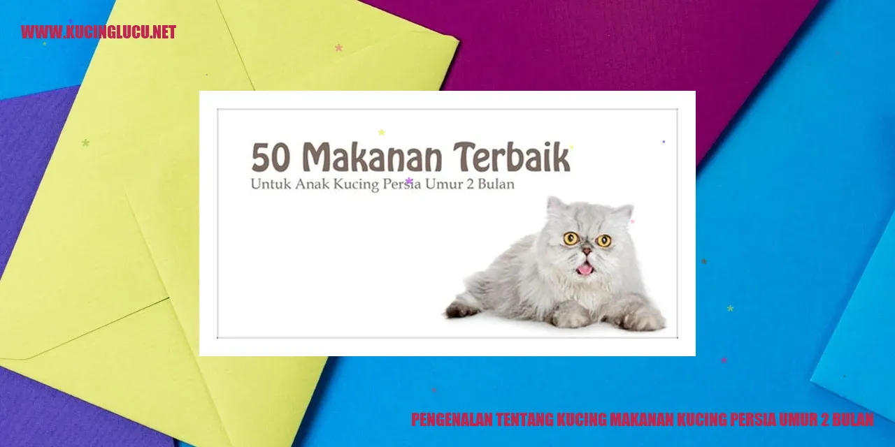 Kucing Persia Berusia 2 Bulan