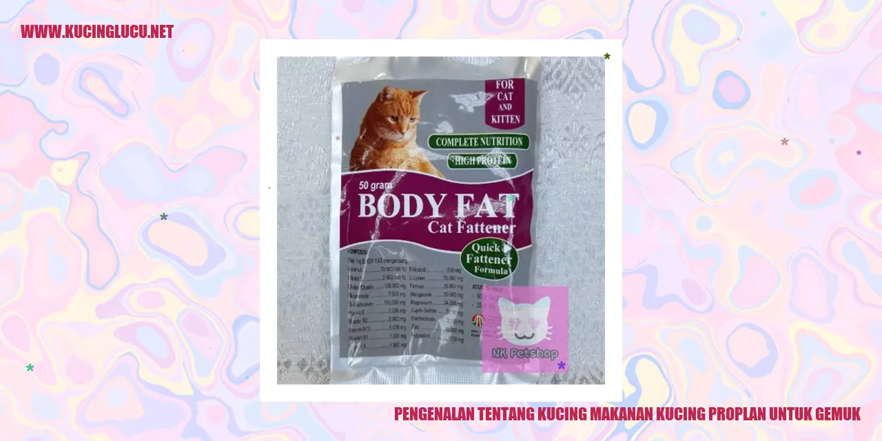 Gambar kucing yang menggemukkan
