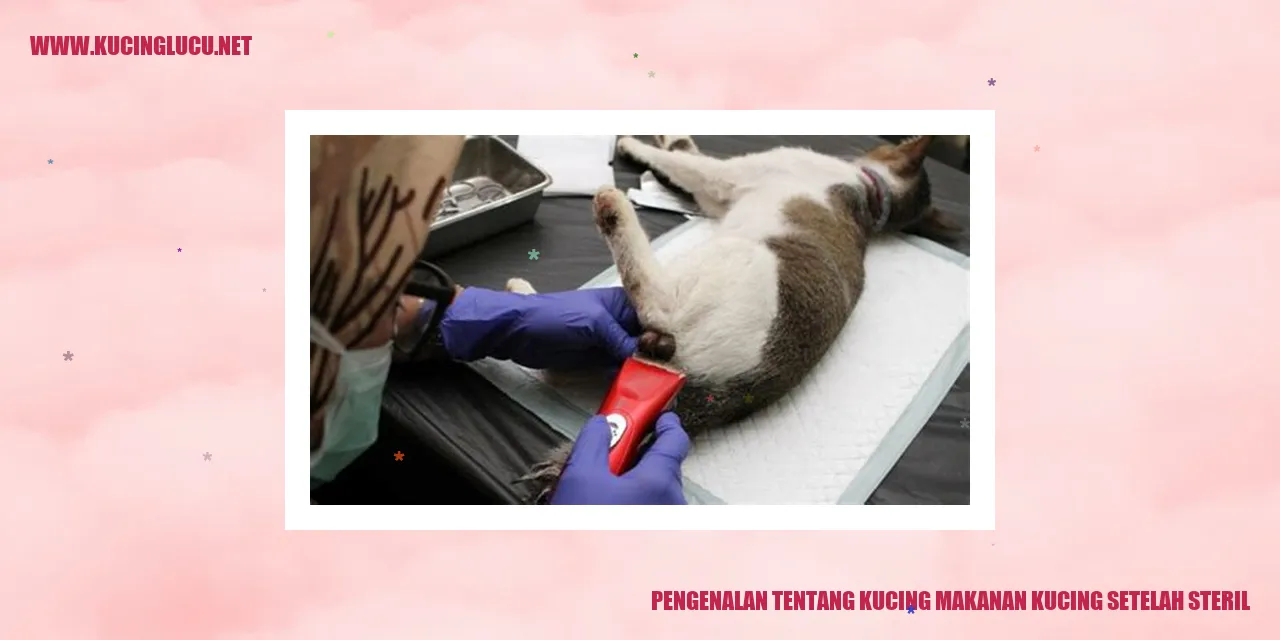 Ilustrasi kucing yang sedang makan makanan steril