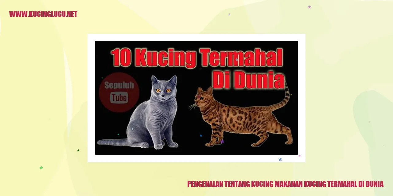 Kucing makanan kucing termahal di dunia
