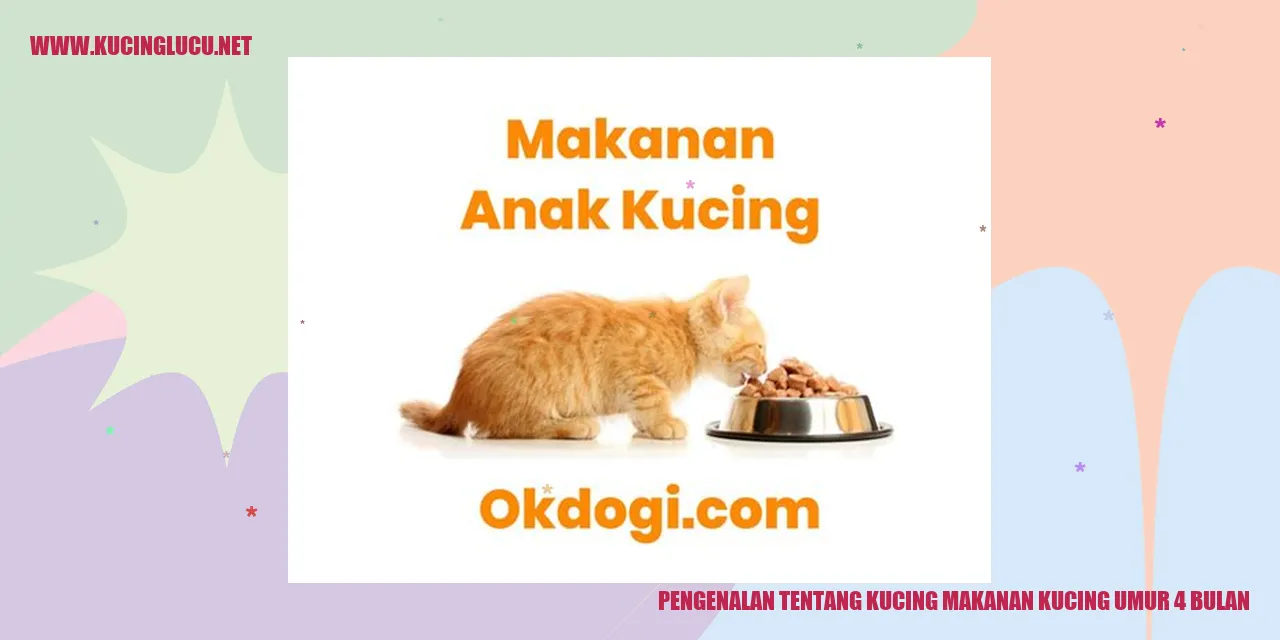 Makanan Kucing untuk Si Kucing Berusia 4 Bulan