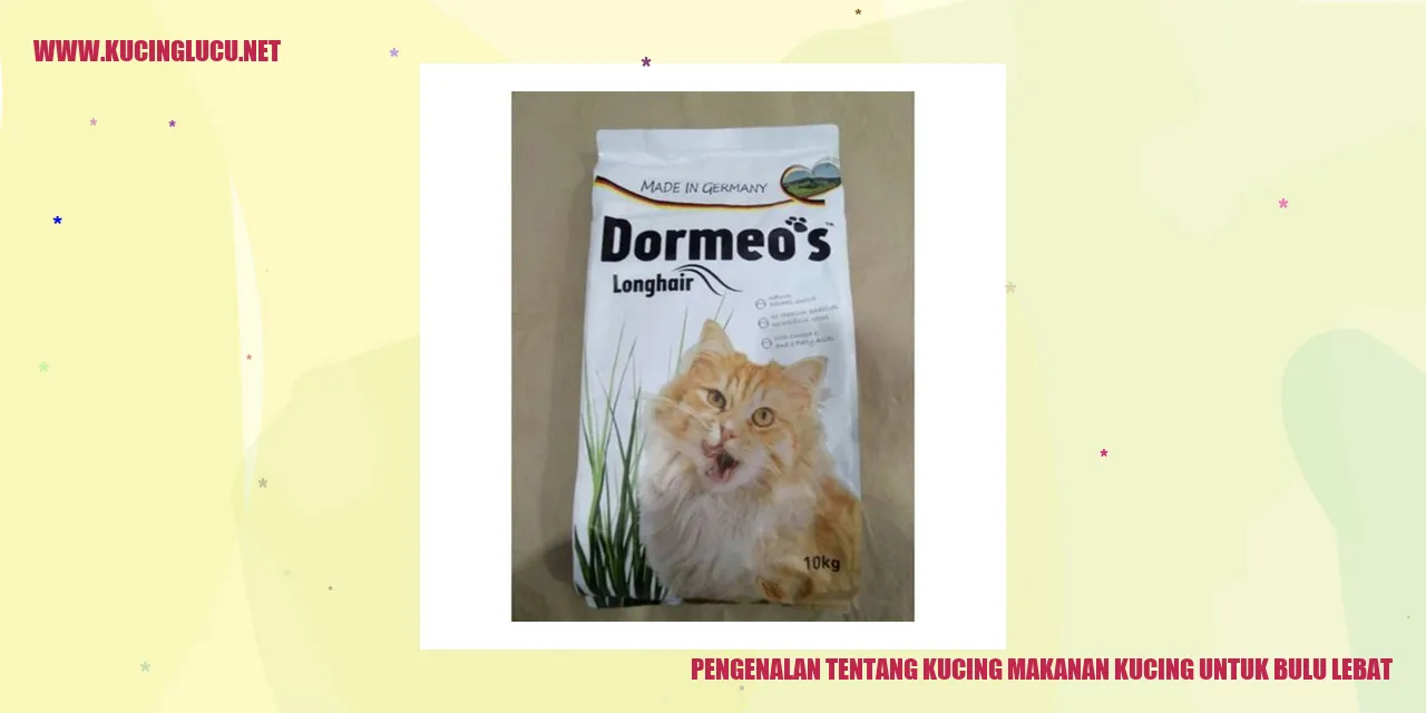 Ilustrasi Kucing Lebat