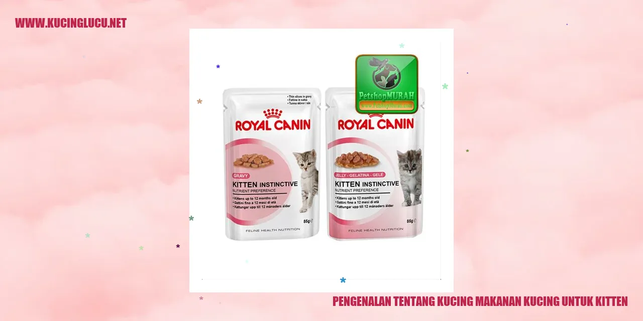 Pengenalan tentang Kucing makanan kucing untuk kitten