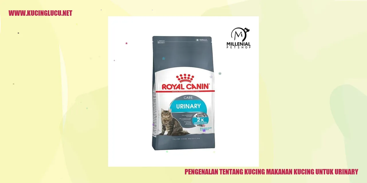 Pengenalan tentang Kucing makanan kucing untuk urinary