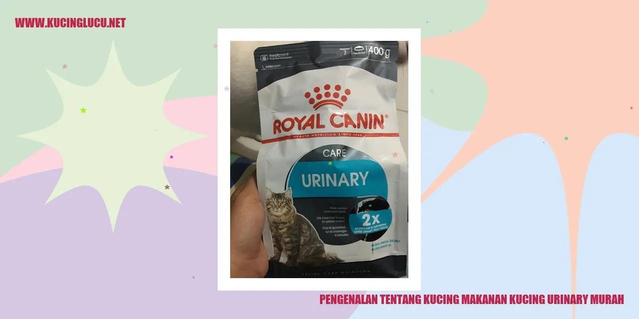 Gambar Kucing