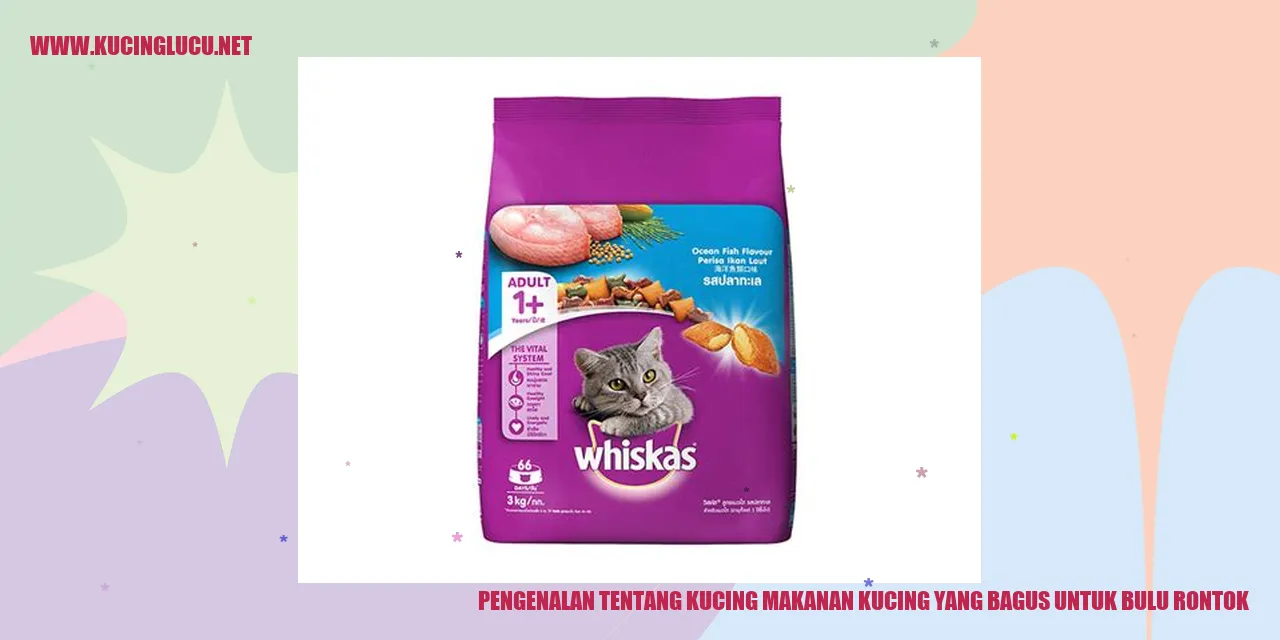 Gambar Kucing