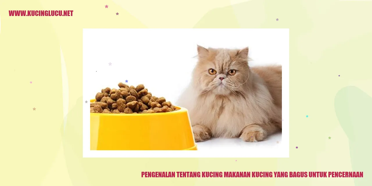 Gambar Kucing Menggemaskan