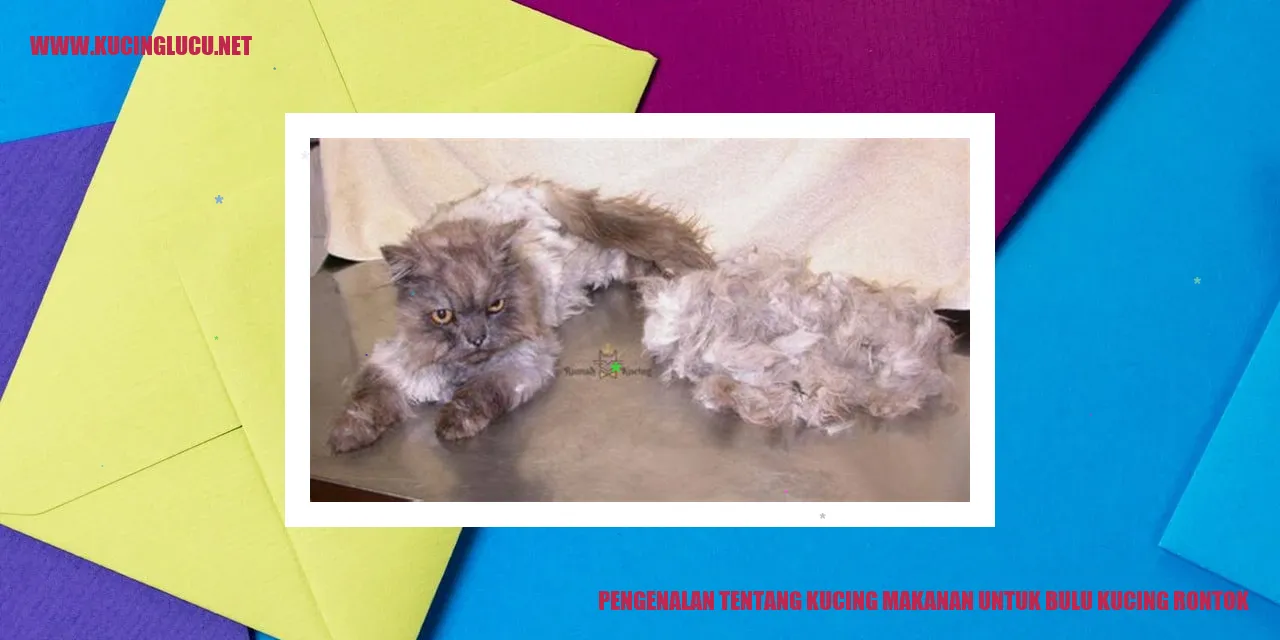 Gambar kucing dengan bulu yang sehat dan indah
