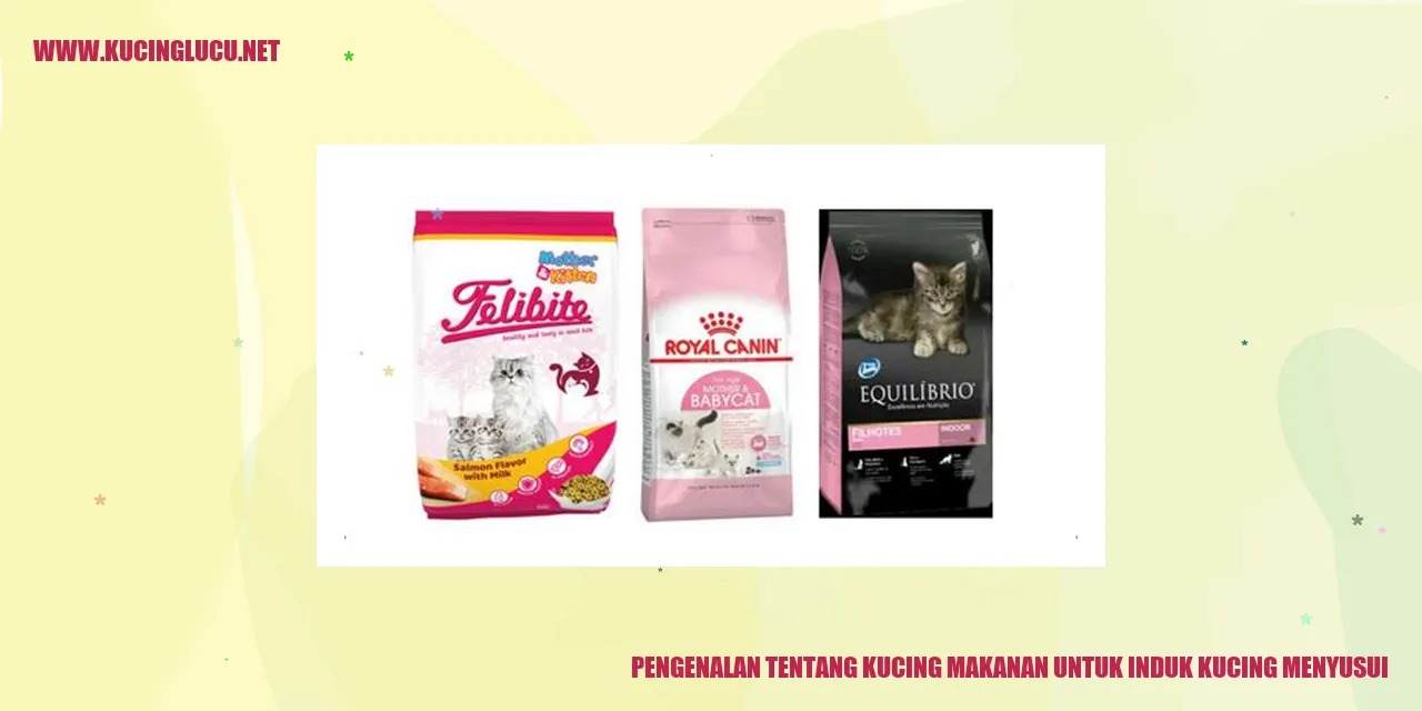 Kucing induk menyusui
