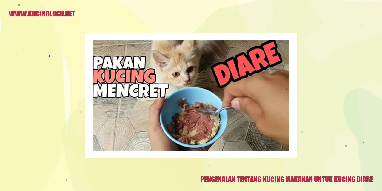 Gambar Kucing Diare