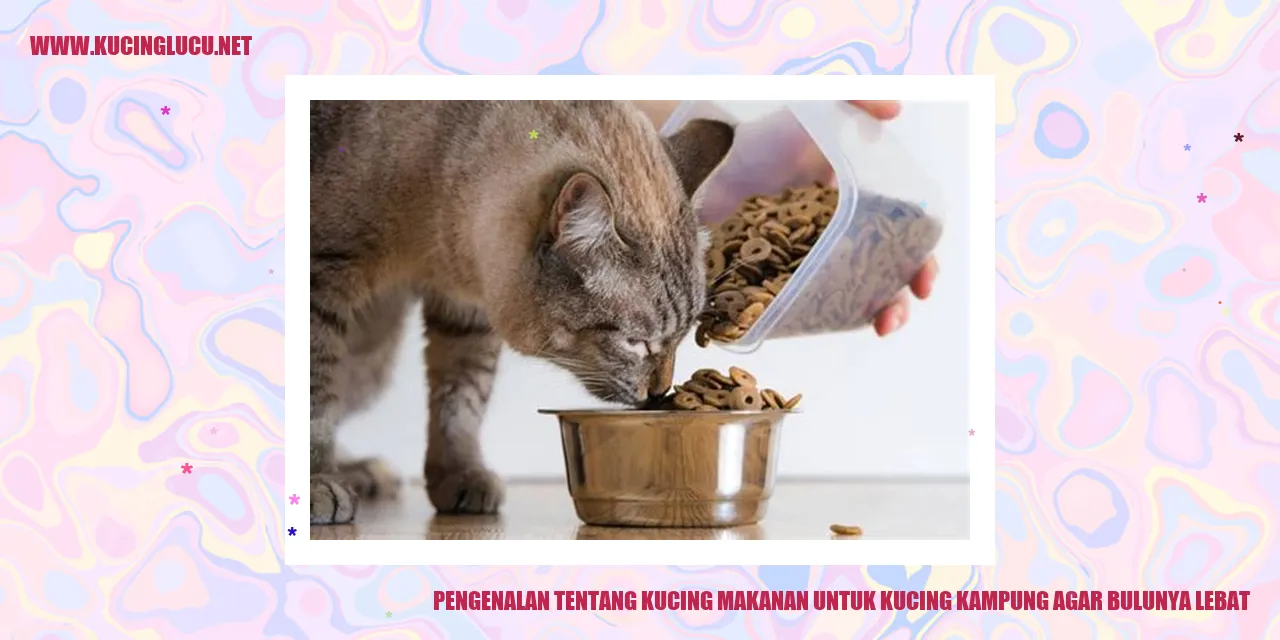 Kucing Bulu Lebat