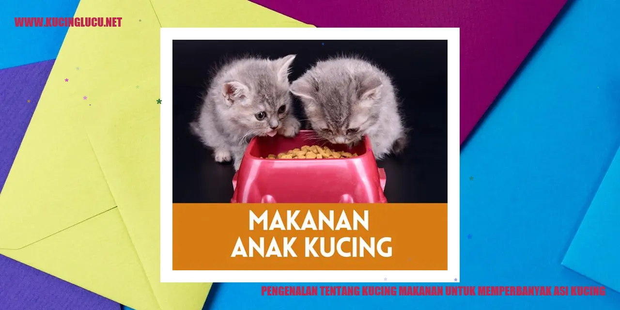 Pengenalan tentang Kucing makanan untuk memperbanyak asi kucing