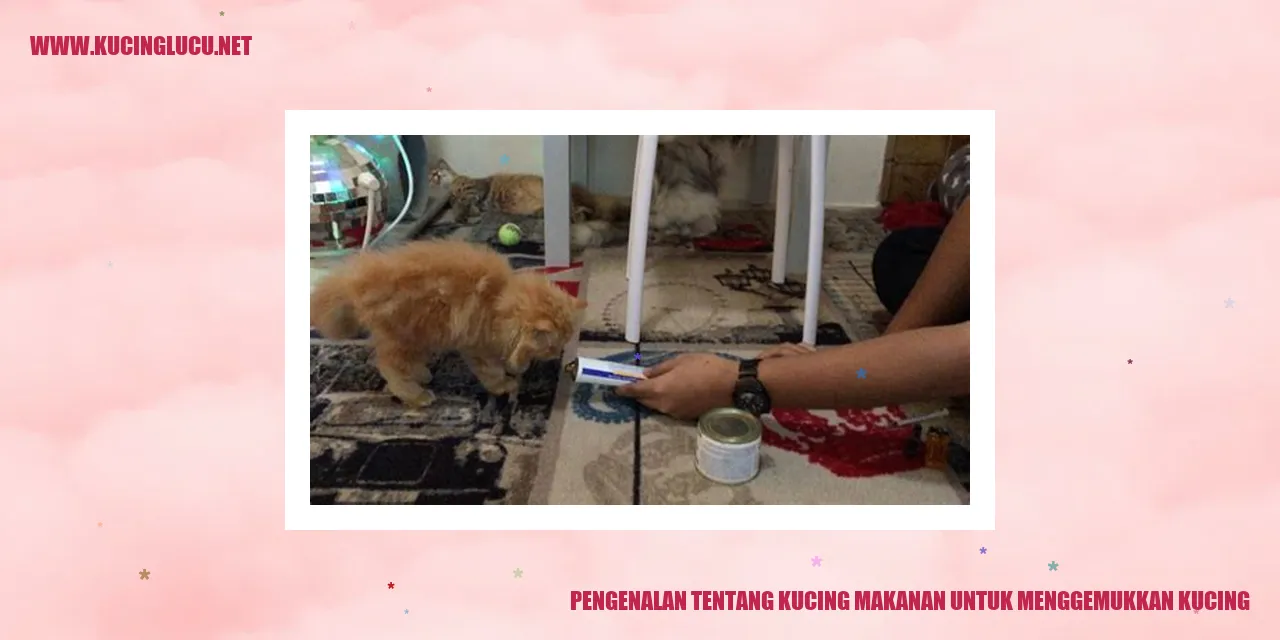 Gambar Kucing yang Menggemukkan