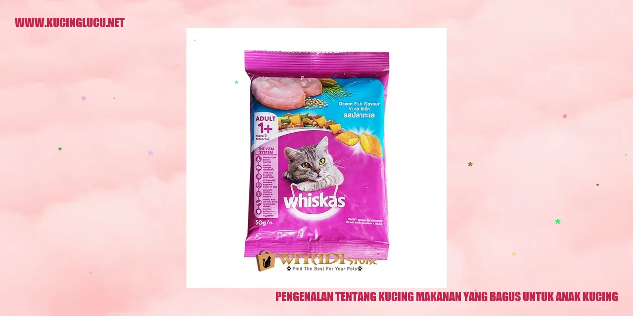 Gambar Kucing