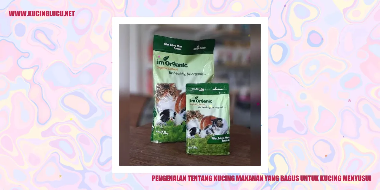 Kucing menyusui