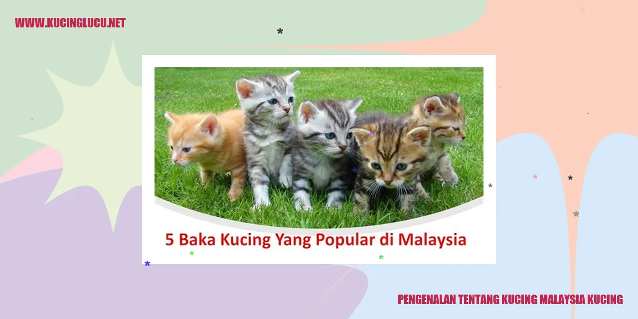 Kucing Malaysia