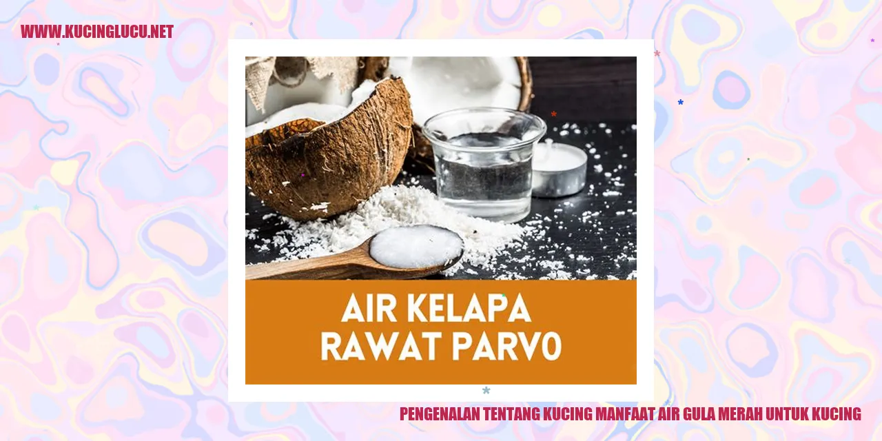 Pengenalan tentang Kucing manfaat air gula merah untuk kucing