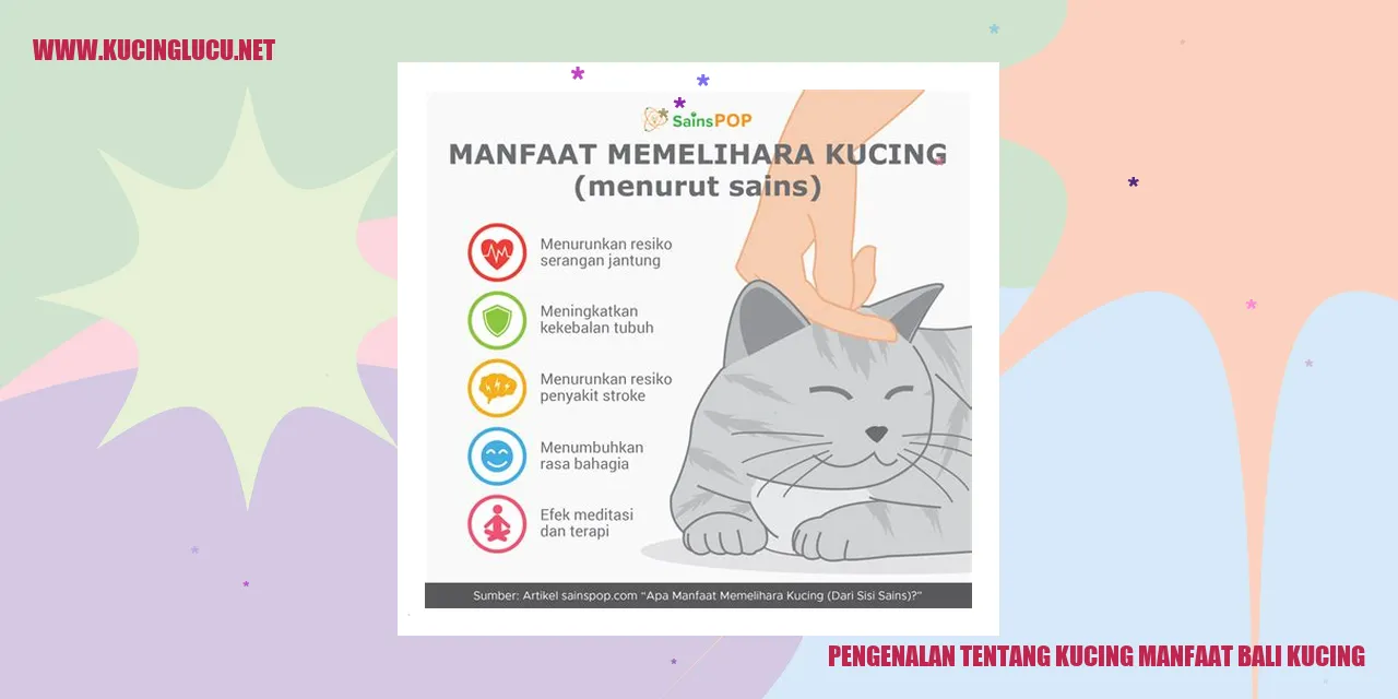 Kucing Bali